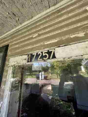 17257 bloom (17).jpg